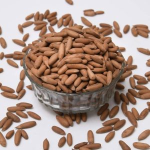 Pine nuts (Chilghoza)